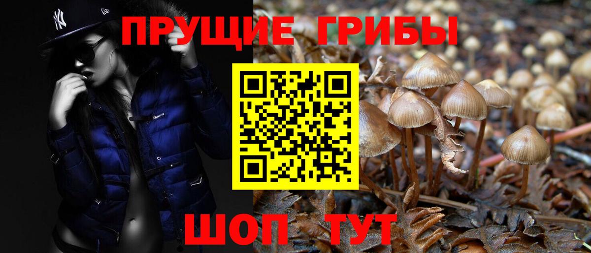 Иваново  Галлюциногенные грибы Magic Shrooms  цена наркотик  Вход с VPN 